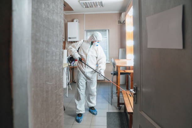 Reliable Greenwood, IN Mold Removal Solutions